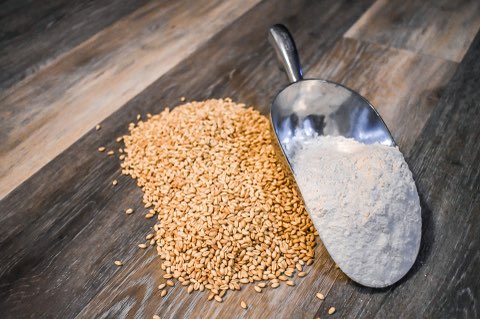 Fresh Milled Organic All-Purpose Flour - 4 lbs