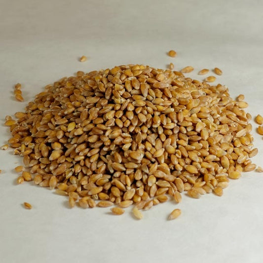 Organic Einkorn Wheat Berries
